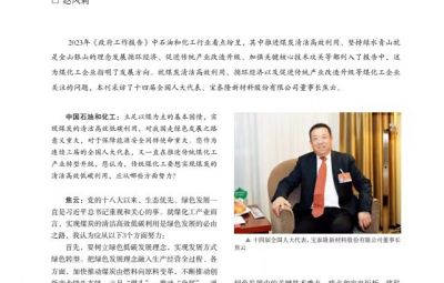 打破傳統(tǒng)走綠色轉(zhuǎn)型之路——訪十四屆全國(guó)人大代表、寶泰隆新材料股份有限公司董事長(zhǎng)焦云